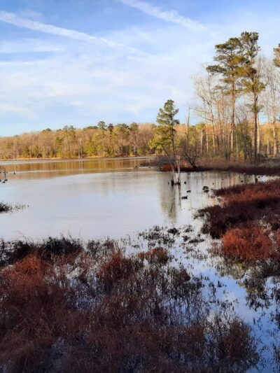 Newport News Park - Newport News, VA