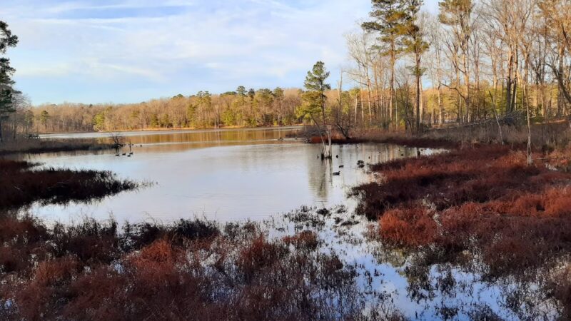 Newport News Park - Newport News, VA