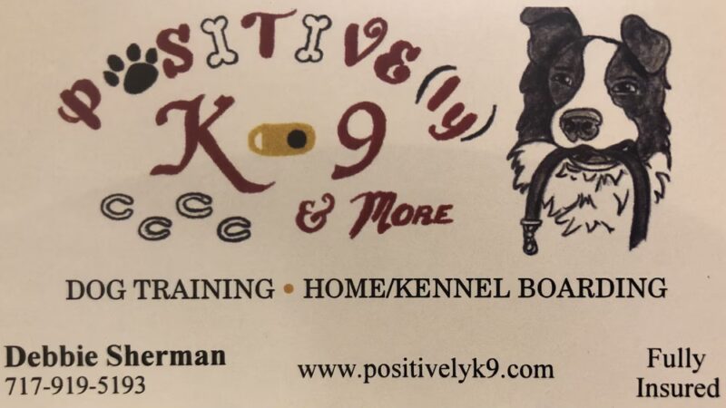 Positively K9 & More - Newport, PA
