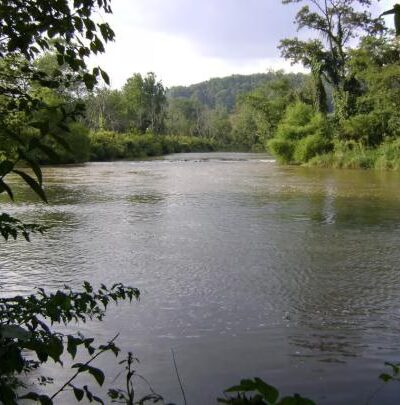 New River Park Campground - Newport Virginia - Newport, VA