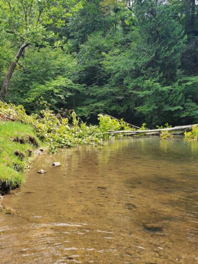 Sinking Creek Sample Location - Newport, VA