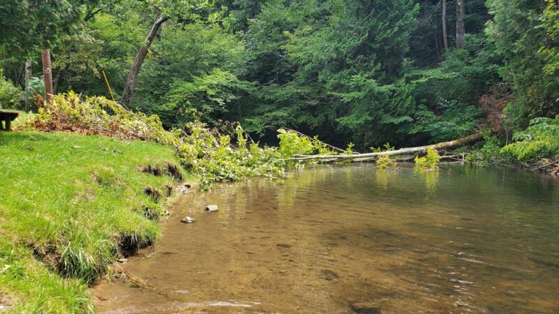 Sinking Creek Sample Location - Newport, VA