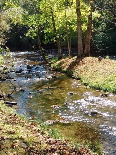 Sinking Creek Sample Location - Newport, VA
