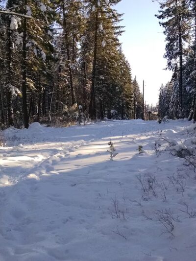 Upper Wolf Trailhead - Newport, WA