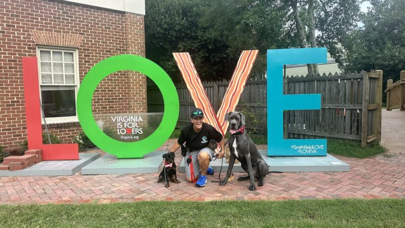 Buck’s Dog Training Virginia - Newsoms, VA