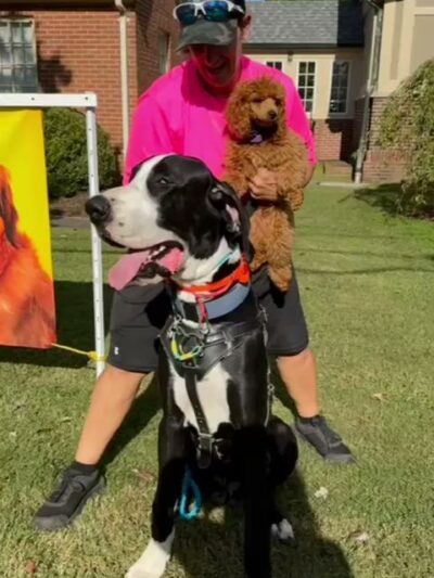 Buck’s Dog Training Virginia - Newsoms, VA