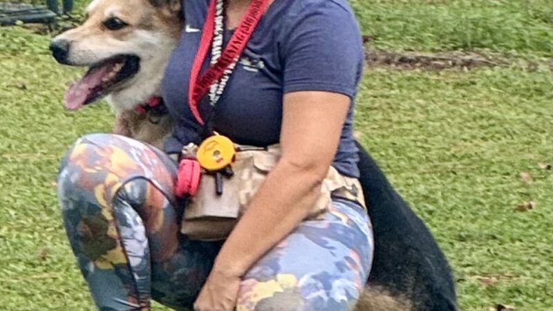 Buck’s Dog Training Virginia - Newsoms, VA