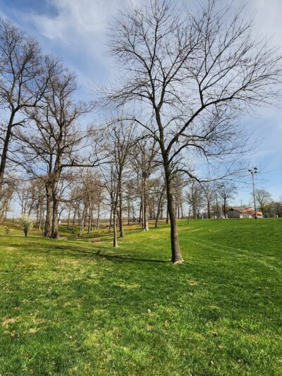 Peterson Park - Newton, IL