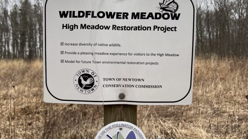 Fairfield Hills Campus Walking Trails - Newtown, CT