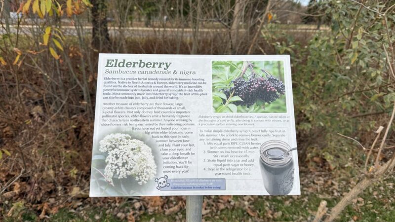 Fairfield Hills Campus Walking Trails - Newtown, CT