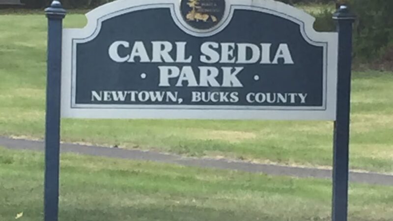 Carl Sedia Park - Newtown, PA