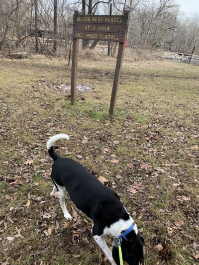 Newtown Township Parks and Recreation - Newtown, PA