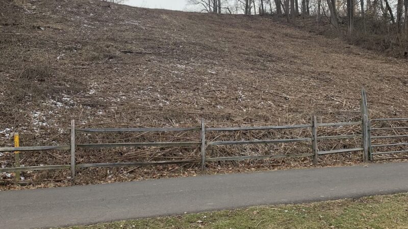 Newtown Township Parks and Recreation - Newtown, PA