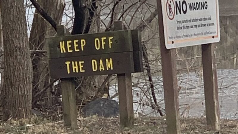 Newtown Township Parks and Recreation - Newtown, PA