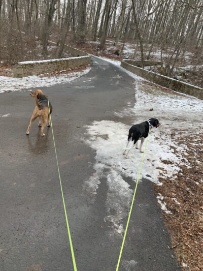 Newtown Township Parks and Recreation - Newtown, PA