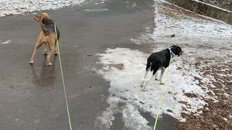 Newtown Township Parks and Recreation - Newtown, PA