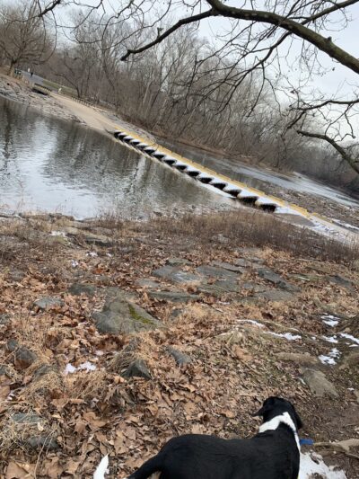 Newtown Township Parks and Recreation - Newtown, PA