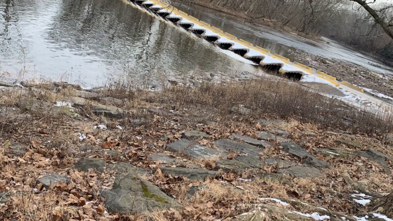 Newtown Township Parks and Recreation - Newtown, PA