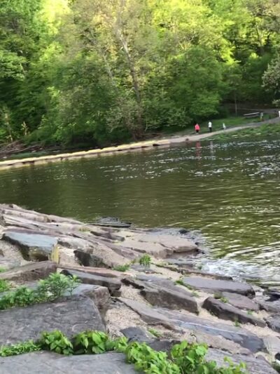 Tyler State Park - Newtown, PA