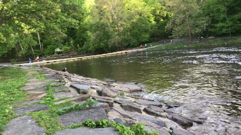Tyler State Park - Newtown, PA