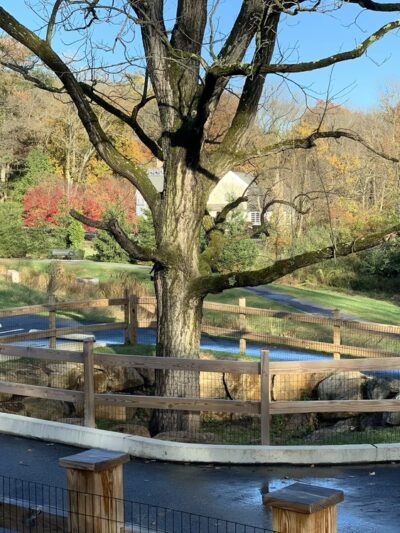 Edgmont Community Park - Newtown Square, PA