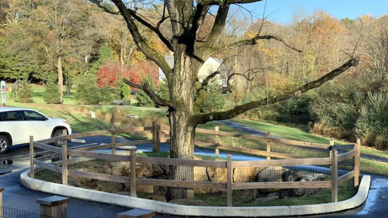 Edgmont Community Park - Newtown Square, PA