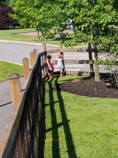 Edgmont Community Park - Newtown Square, PA