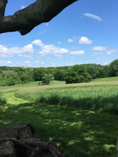 Kirkwood Preserve - Newtown Square, PA