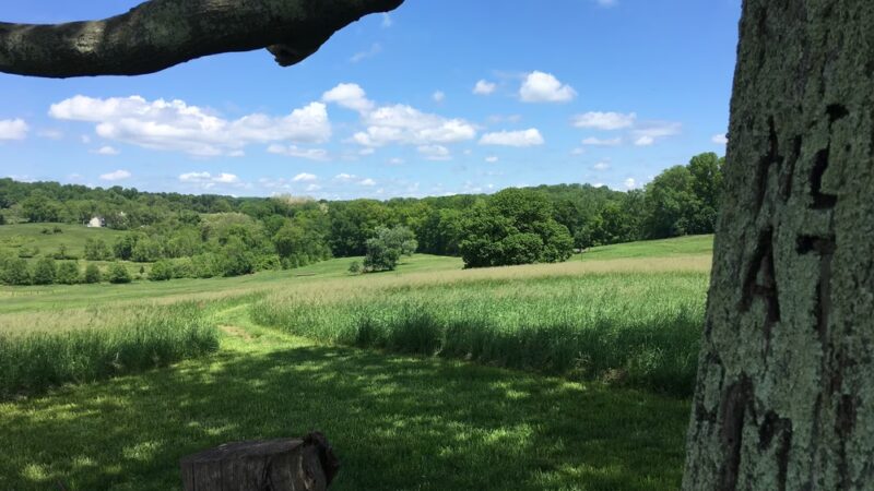 Kirkwood Preserve - Newtown Square, PA
