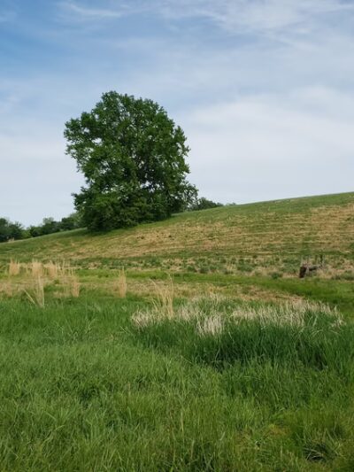 Kirkwood Preserve - Newtown Square, PA