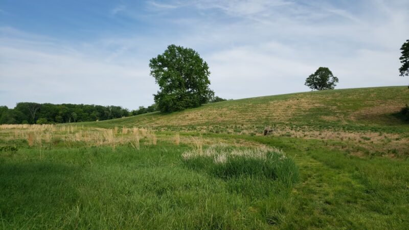 Kirkwood Preserve - Newtown Square, PA
