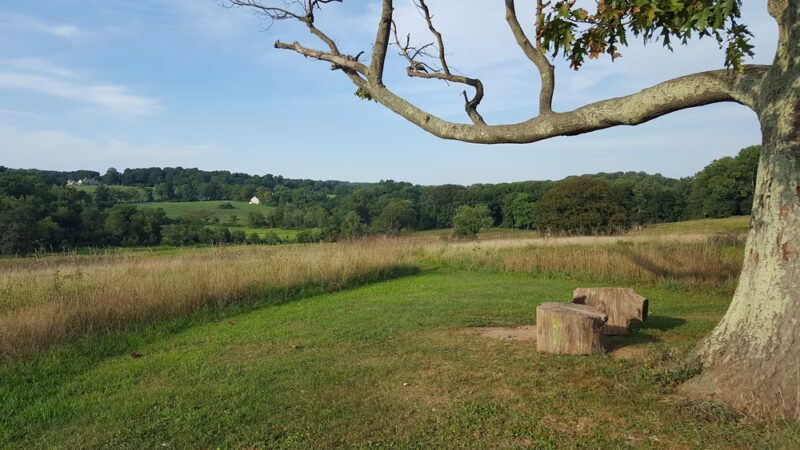 Kirkwood Preserve - Newtown Square, PA