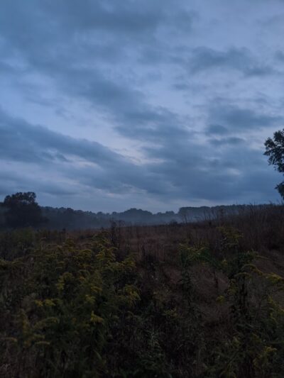 Kirkwood Preserve - Newtown Square, PA