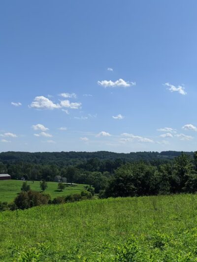Okehocking Preserve - Newtown Square, PA