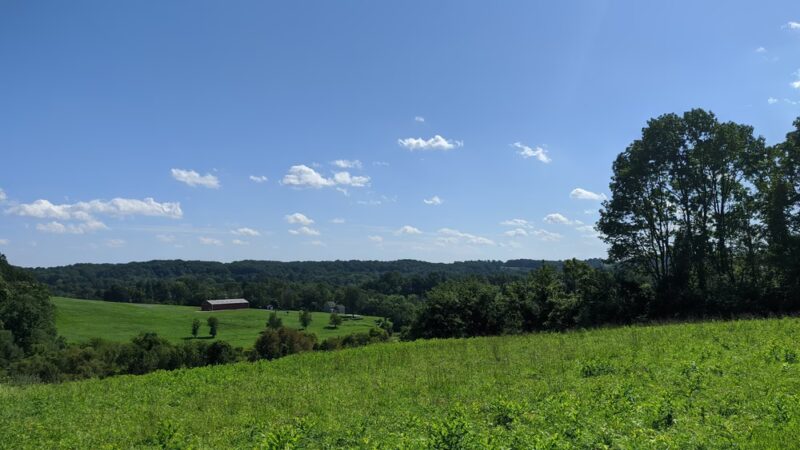Okehocking Preserve - Newtown Square, PA