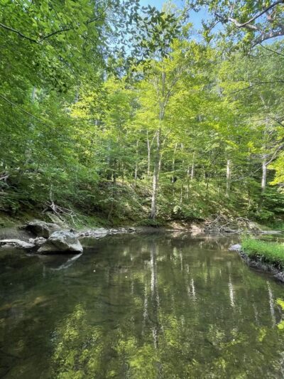 Orange Trail - Newtown Square, PA