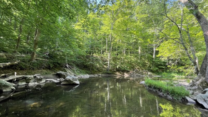 Orange Trail - Newtown Square, PA