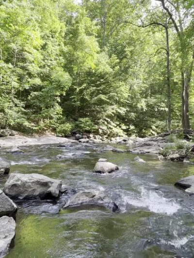 Orange Trail - Newtown Square, PA