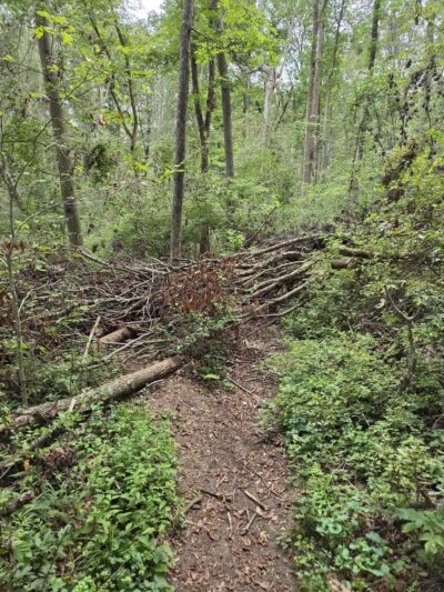 Orange Trail - Newtown Square, PA