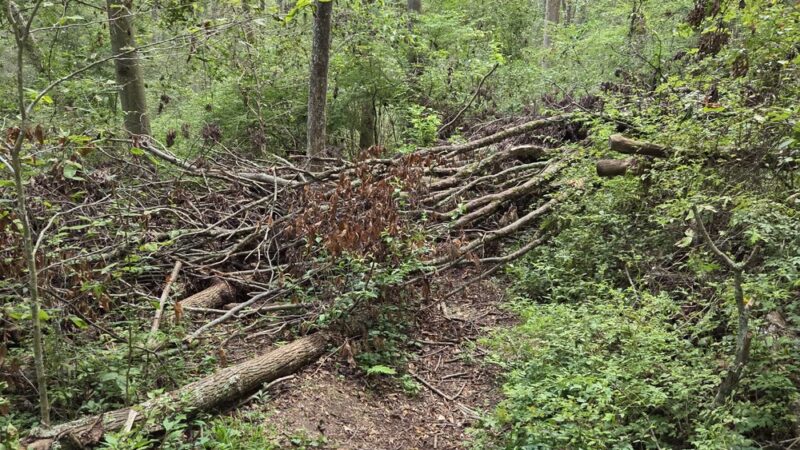 Orange Trail - Newtown Square, PA
