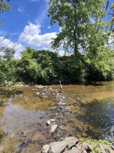 Saw Mill Park - Newtown Square, PA