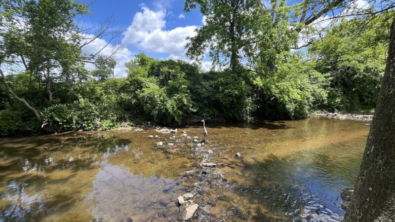 Saw Mill Park - Newtown Square, PA