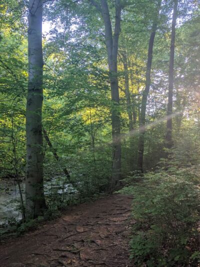 Saw Mill Park - Newtown Square, PA