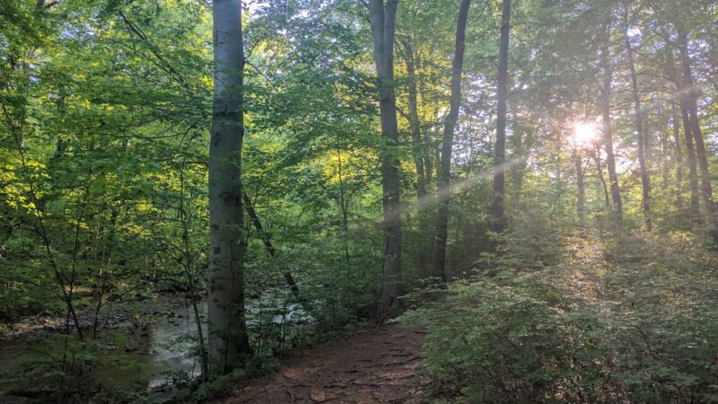 Saw Mill Park - Newtown Square, PA