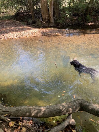 Saw Mill Park - Newtown Square, PA