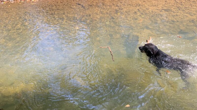 Saw Mill Park - Newtown Square, PA