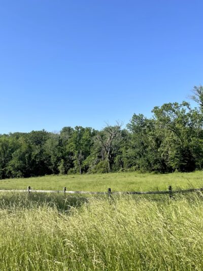 Saw Mill Park - Newtown Square, PA