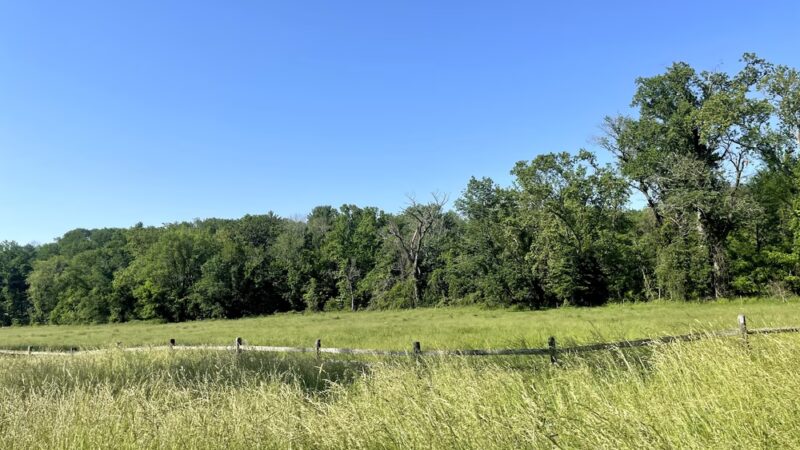 Saw Mill Park - Newtown Square, PA