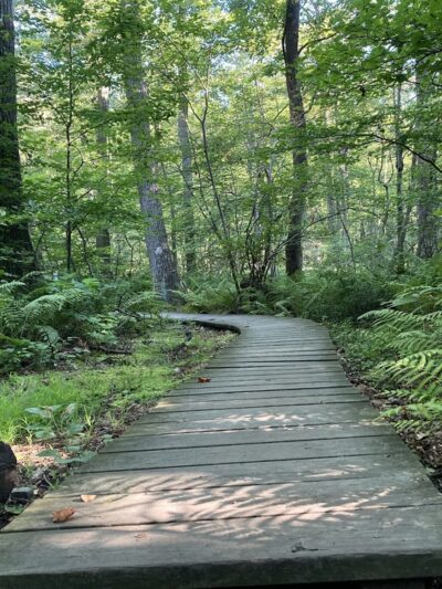 Flat Rock Trailhead - Newville, PA