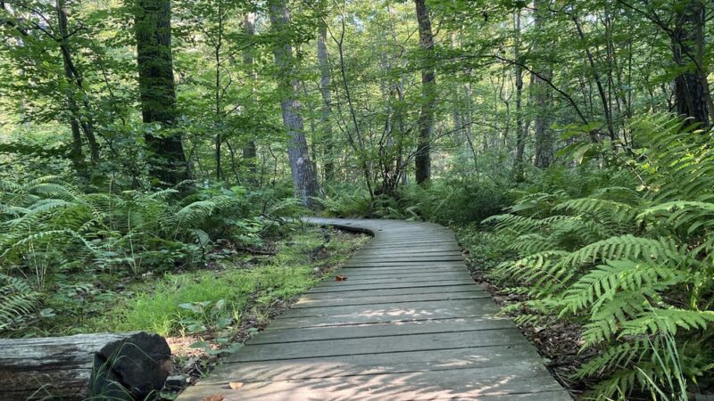 Flat Rock Trailhead - Newville, PA